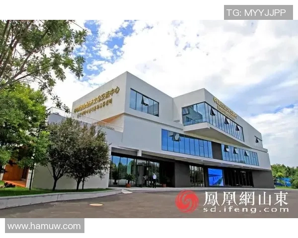 福建浔兴黎伊扬引领行业创新发展助力地方经济腾飞